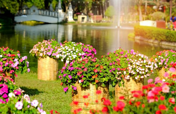 The role of your bouquette in wedding compositions